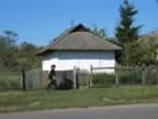 Homrogd030926 032.jpg (90kb)